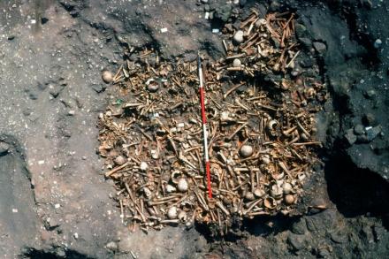 Viking Mass Grave in Repton 