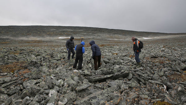 Viking sword found in high altitude still in good condition