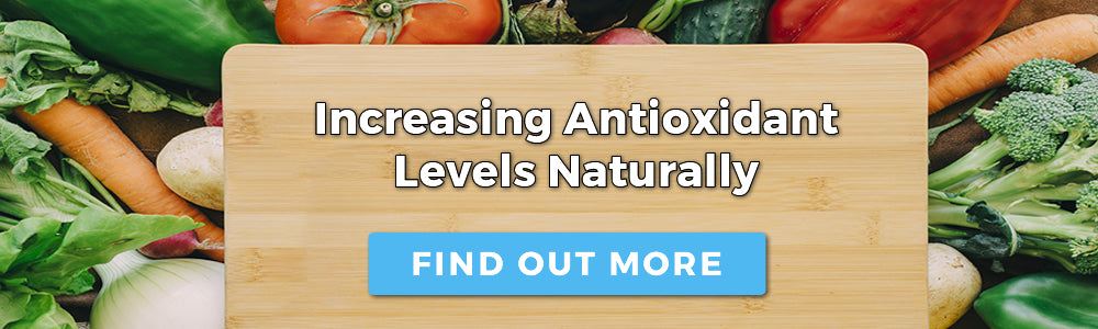 Antioxidant Support Powder Promotional Banner