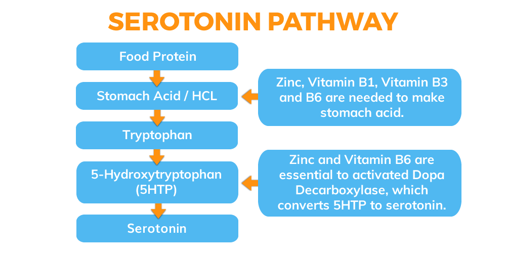 Serotonin Pathway - Pyroluria