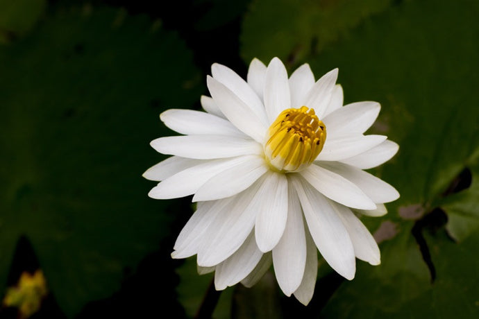 5 Ways to Spiritual Awakening