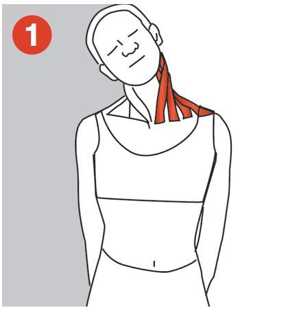 Levator scapulae and trapezius stretch