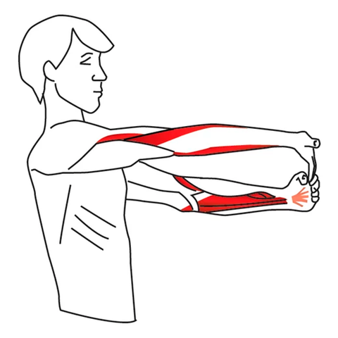 inner arm stretch