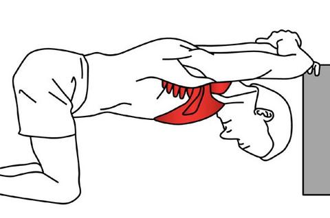 pectoralis stretch diagram
