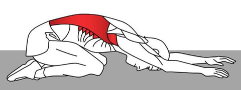 diagram showing a stretch for the latissimus dorsi