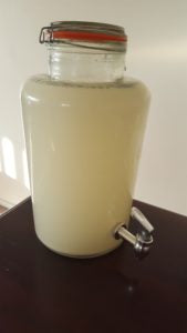 8 litre fermenting jar - ideal for family ferments