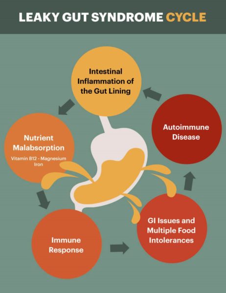 Leaky Gut Syndrome Cycle
