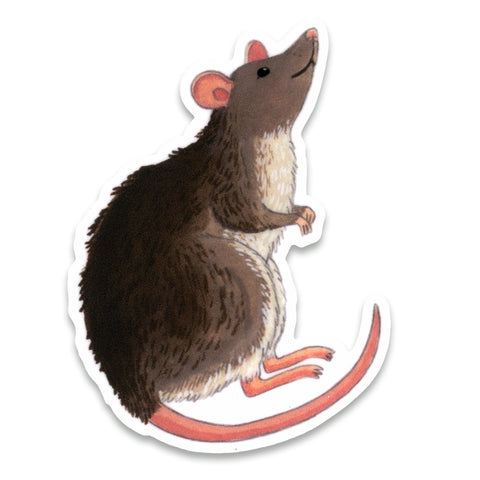 Rat Sticker