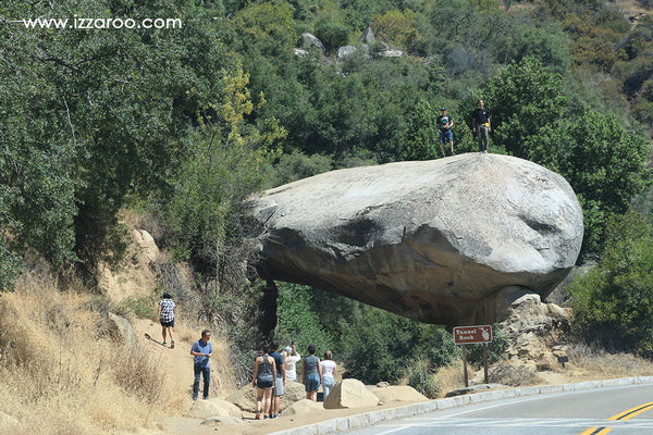 Sequoia National Park with Kids