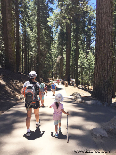 Sequoia National Park with Kids