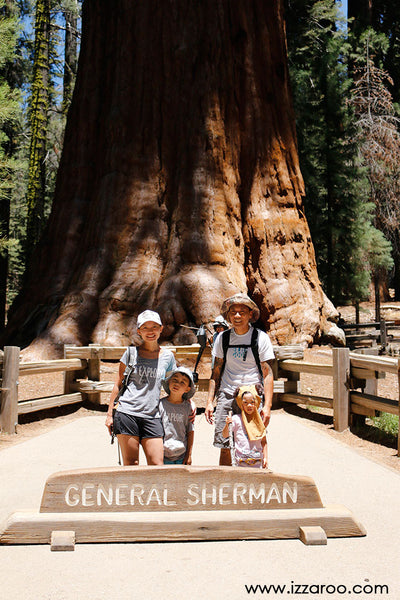 Sequoia National Park with Kids