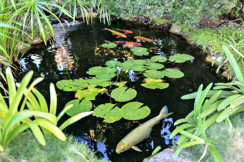 Hidden San Diego, Meditation Garden