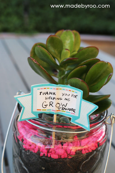 DIY Tutorial - Succulent Gifts