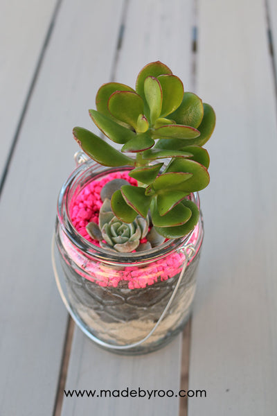 DIY Tutorial - Succulent Gifts