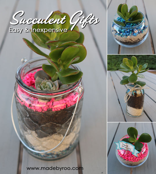 IZZAROO - DIY Tutorial - How to make succulent gifts