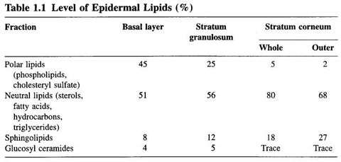 skin lipids