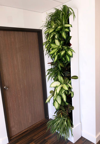 small office space gardening 