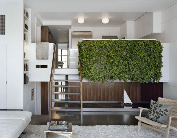 Growup vertical farming | green wall in the living room