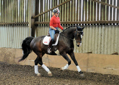 Bert Sheffield dressage 