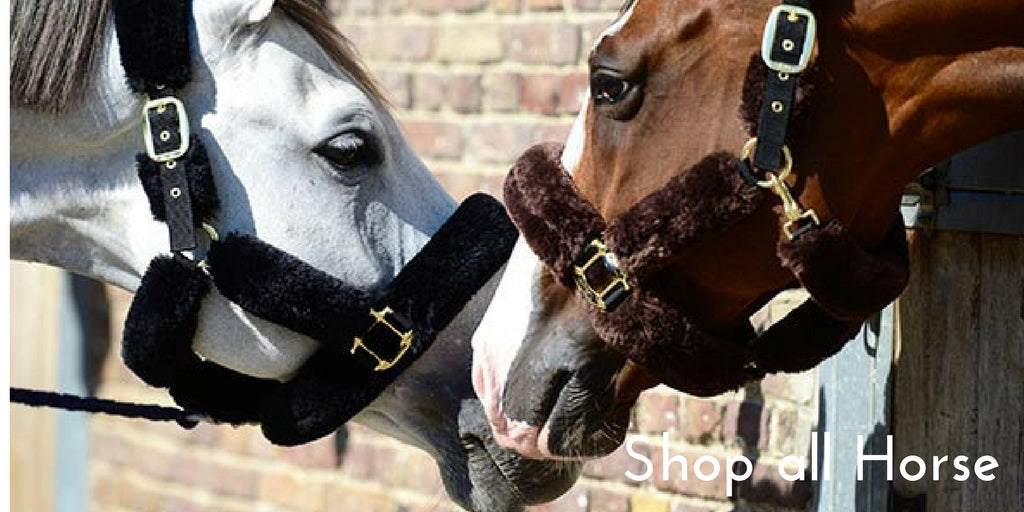 Shop all Horse Kentucky Horsewear, Kingsland Equestrian and Tech Stirrups