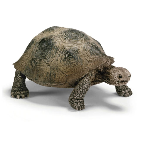 Schleich 14601 Giant Tortoise Schleich Retiring 2019 Schleich Retired 2019