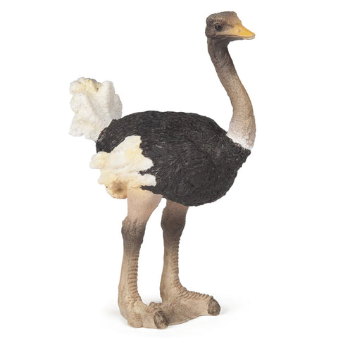 Papo Ostrich 50073 Papo Retiring 2019 Papo nz Papo Retired Animal Kingdoms nz