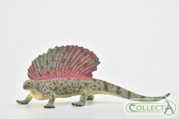 CollectA Edaphosaurus 88840 CollectA 2019 New Release 2019