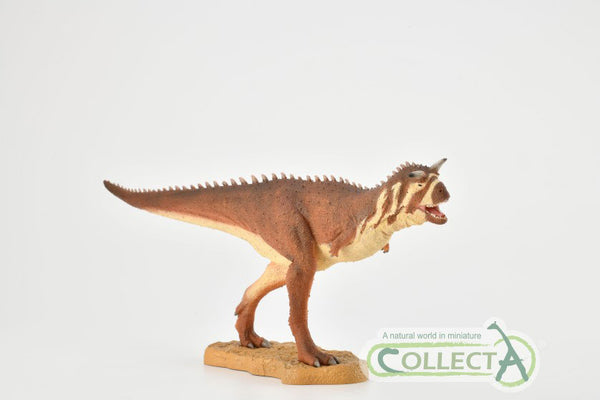 CollectA Carnotaurus Deluxe 1:40 Scale 88842 CollectA 2019 New Release 2019