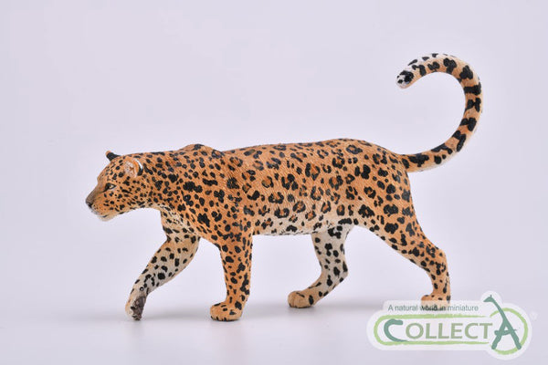 CollectA African Leopard 88866 CollectA New Release 2019 CollectA 2019