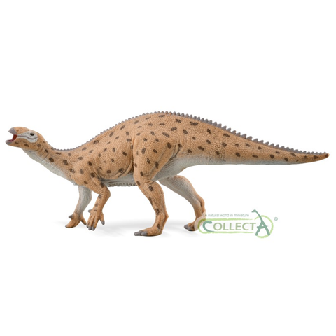 CollectA Fukuisaurus 88871     1:40 Scale
