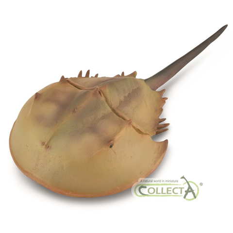 CollectA Horseshoe Crab 88905 