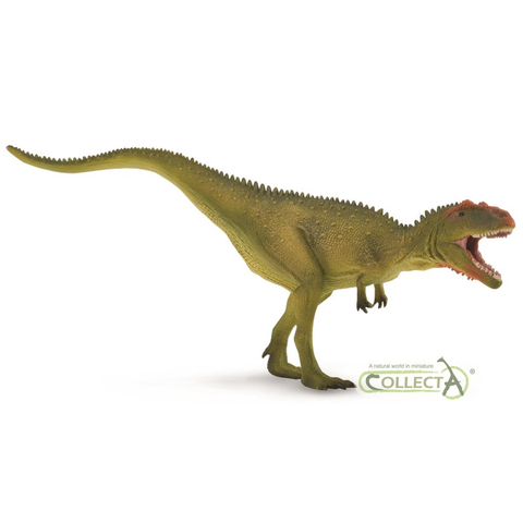 CollectA Mapusaurus hunting 88889 