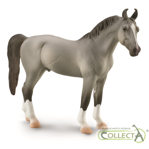 CollectA Marwari Stallion - Grey 88877 1:20 Scale