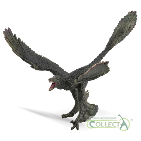 CollectA Microraptor 88875     1:6 Scale
