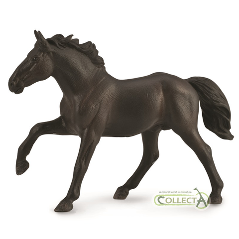 CollectA Nonius Stallion 88878     1:20 Scale