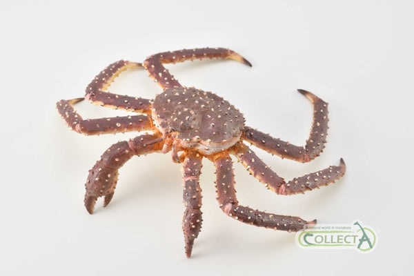 CollectA King Crab 88851 New Release CollectA 2019 