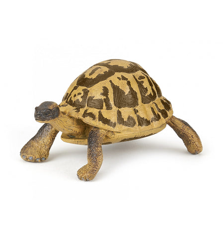 Papo Hermann's tortoise 50264  