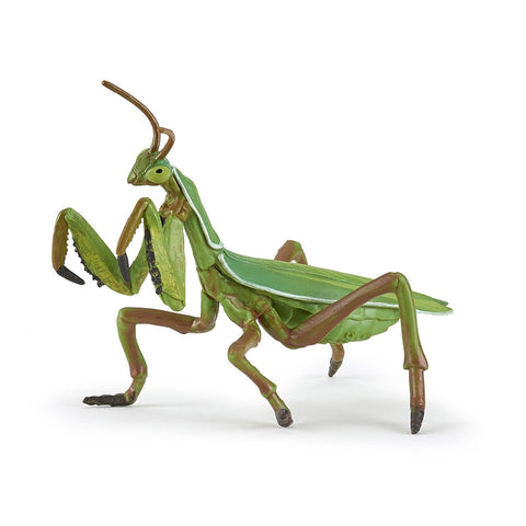 Papo Praying mantis 50244 Papo New Release 2019 Papo 2019