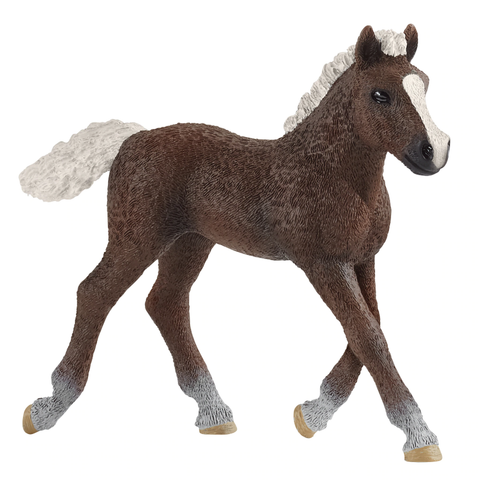 Schleich Black Forest Horse Foal #13899
