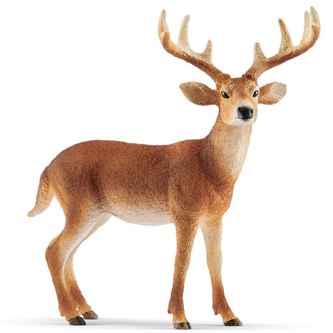 Schleich White-tailed Deer 14818 Schleich 2019 New Release 2019