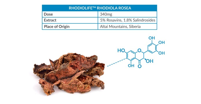 rhodiolife rhodiola rosea