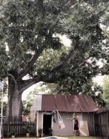 Swing under a oak tree