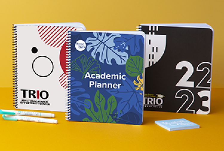 Trio of three planners - Bulk Sales