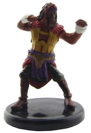 D&D Icons of the Realm Waterdeep Dragon Heist Human Sun Soul Monk #11 Common 