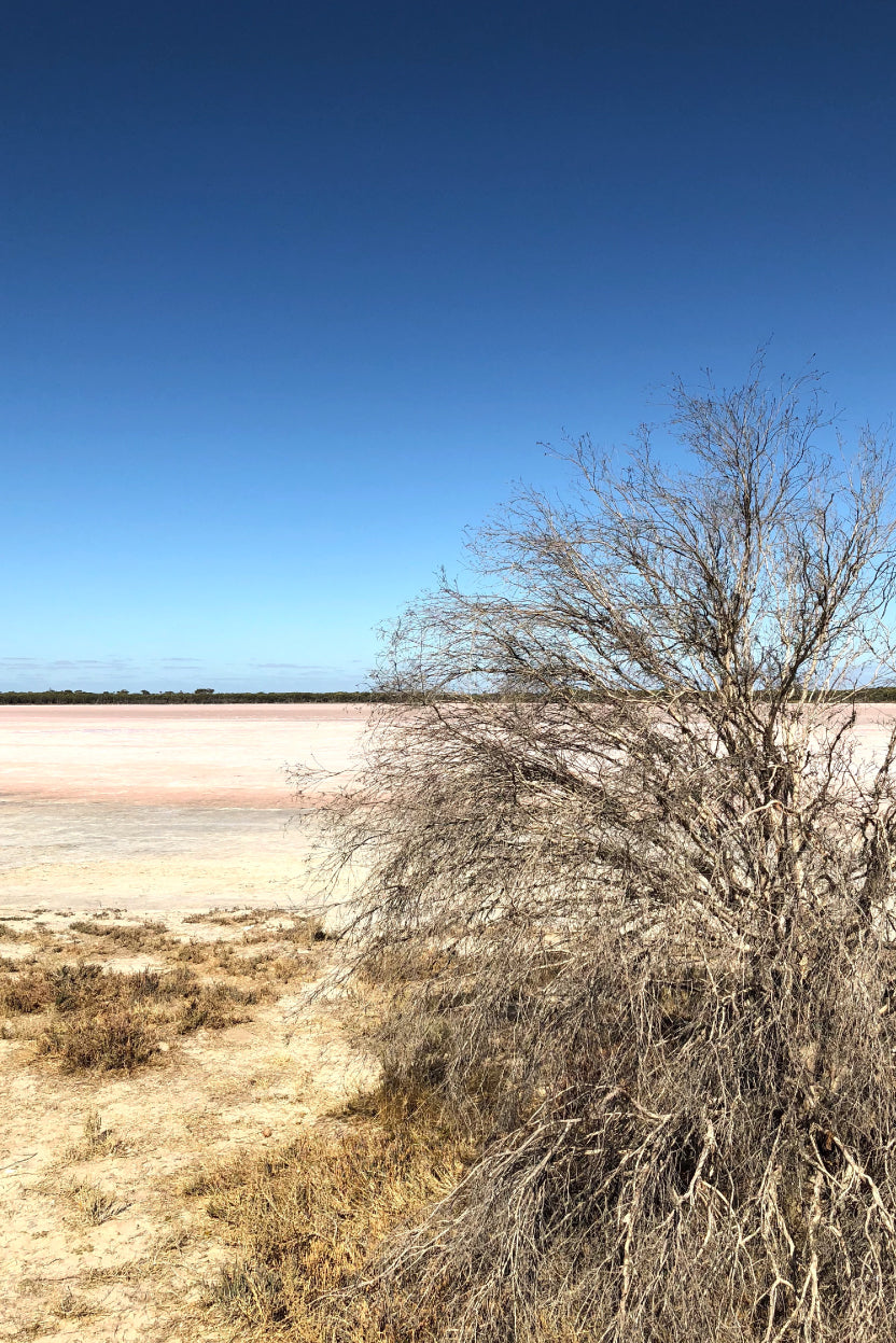 Pink-lakes-and-pastel-sneakers-The-Science-behind-Australia's-pink-lakes-The-Fashion-Advocate-nature-photography-outback-australia-