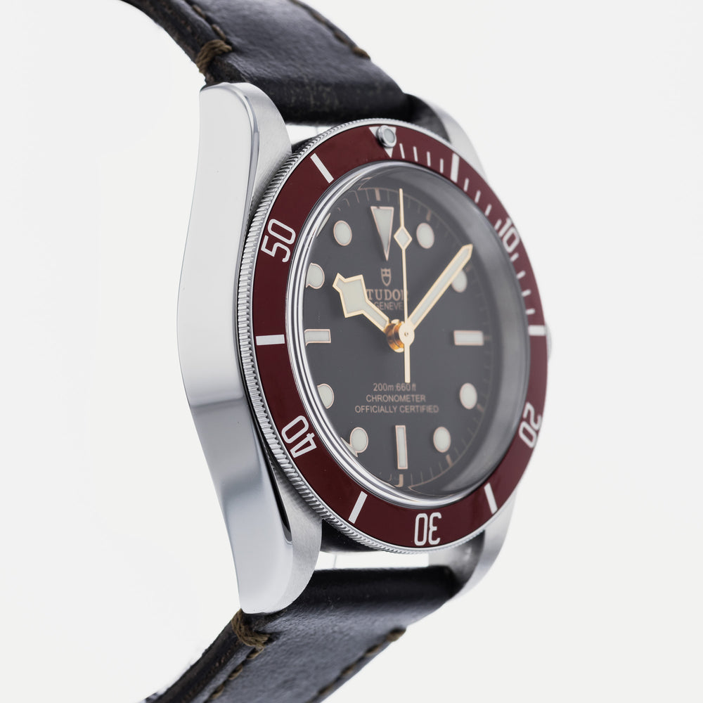 Tudor Heritage Black Bay 79230 4