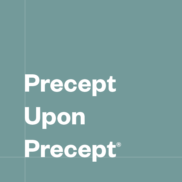 Lamentations Precept Upon Precept Study Series