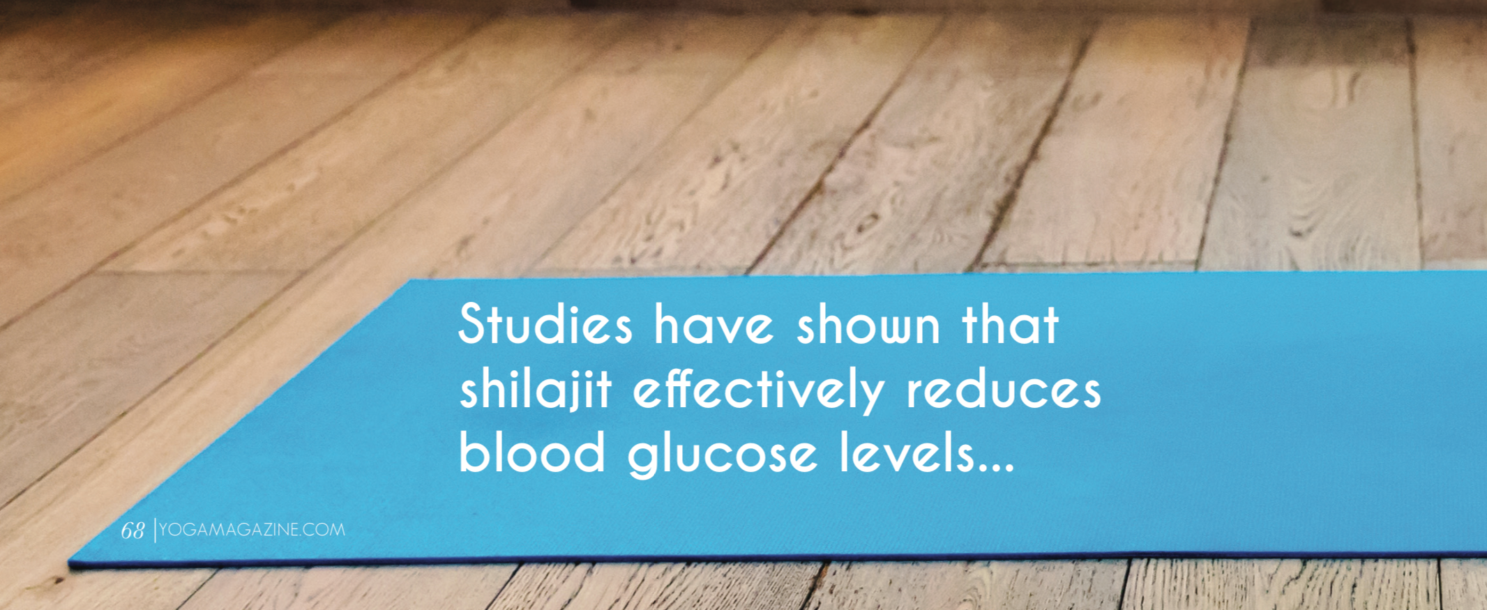 Shilajit effectively reduces blood glucose levels