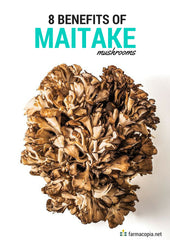 benefits of maitake mushrooms