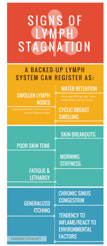 lymphatic brushing